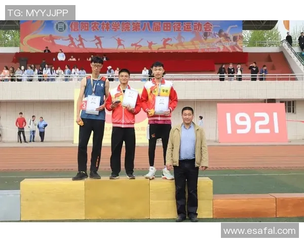 南京排球队速度之美大满贯点评展现竞技魅力与团队协作