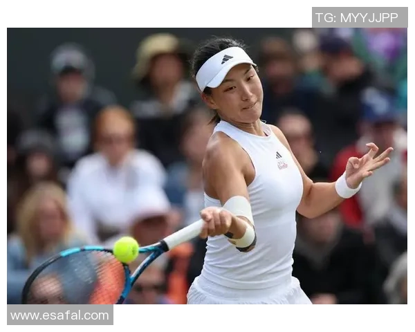 成都网球队荣登网球状态排行榜第二名展现强劲实力与潜力